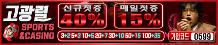 보증업체 고광렬카지노 